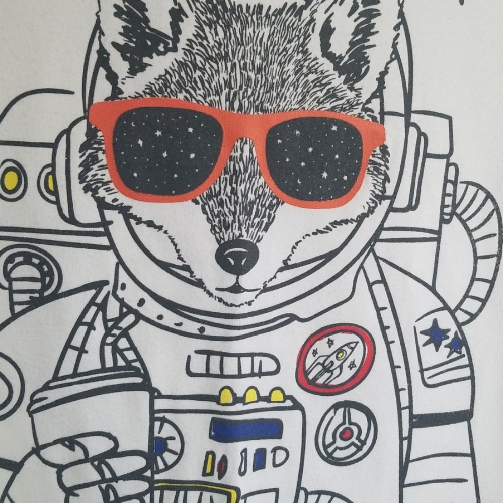 Cat & Jack Astronaut fox sleepshirt